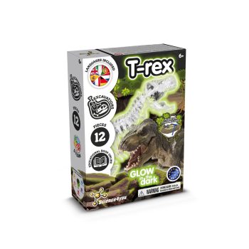 fossil excavation kit jogo didático para crianças