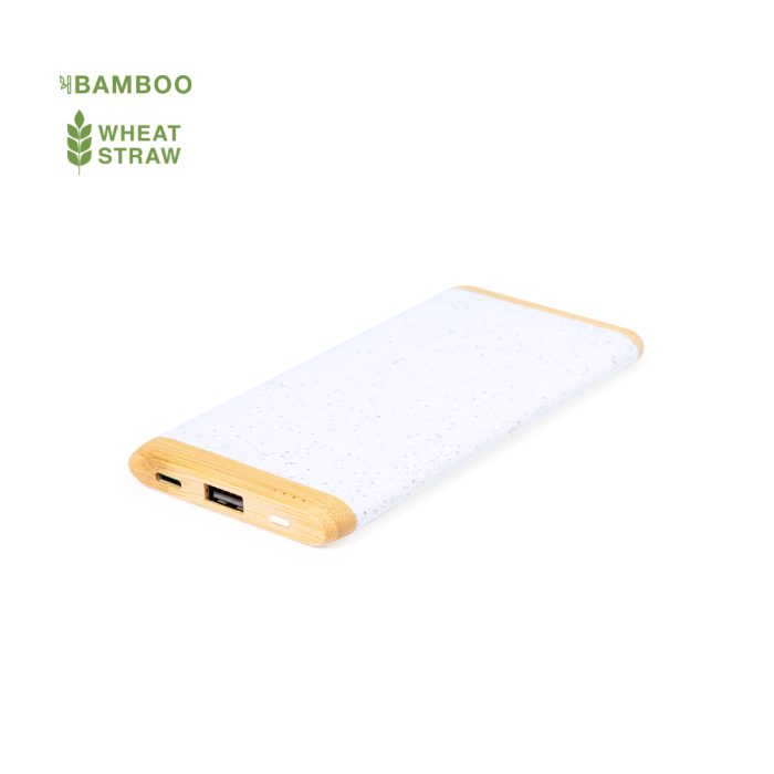 power bank coquin