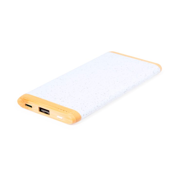 power bank coquin
