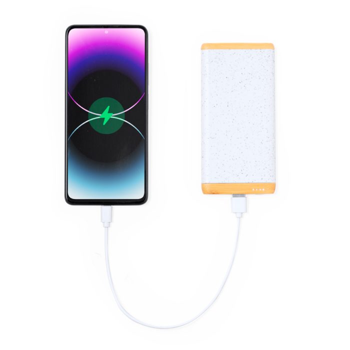 power bank coquin