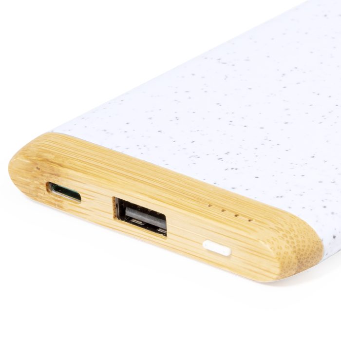 power bank coquin