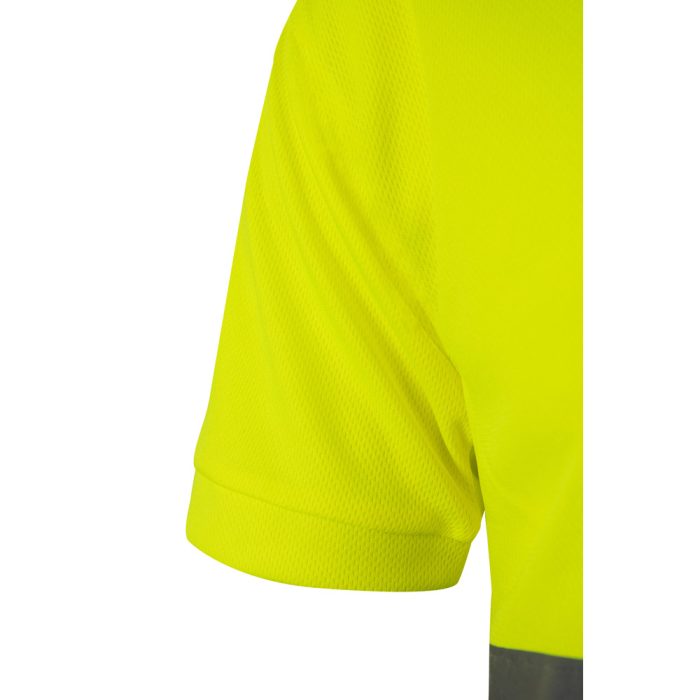 polo bicolor bird eye vl cupid